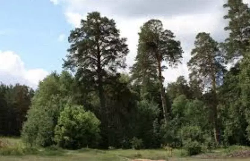 Участок в Самарская область, Ставропольский район, с. Узюково Озерная ... - Фото 0