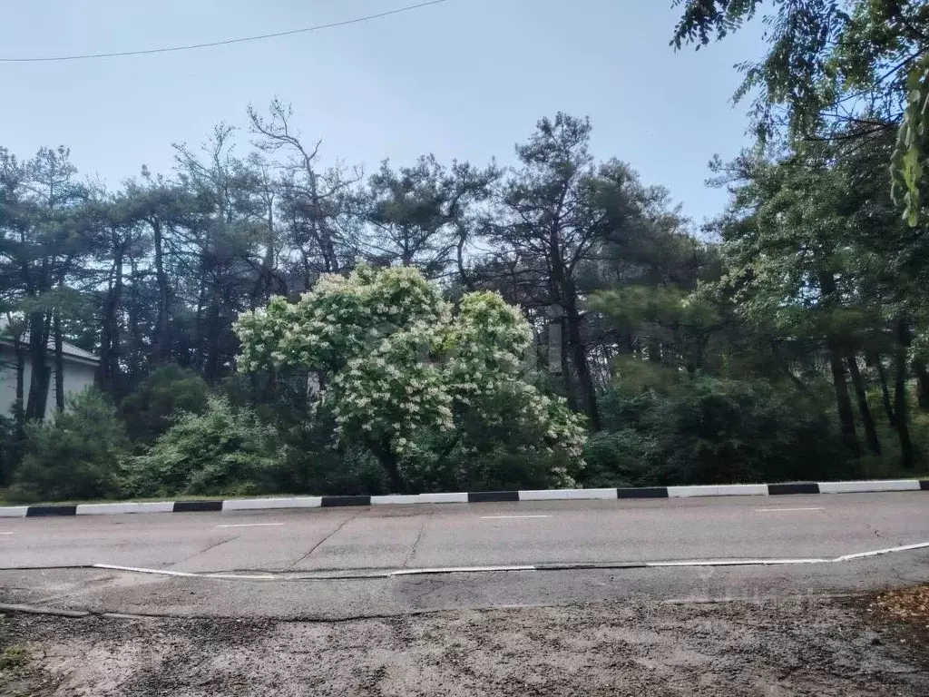 Участок в Краснодарский край, Геленджик Голубая Бухта мкр,  (9.79 ... - Фото 1