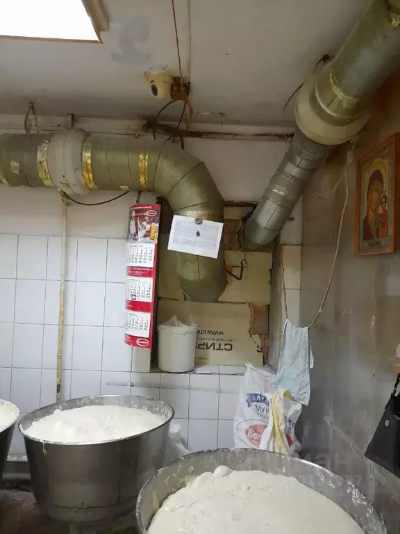 Помещение свободного назначения в Новосибирская область, Искитимский ... - Фото 1