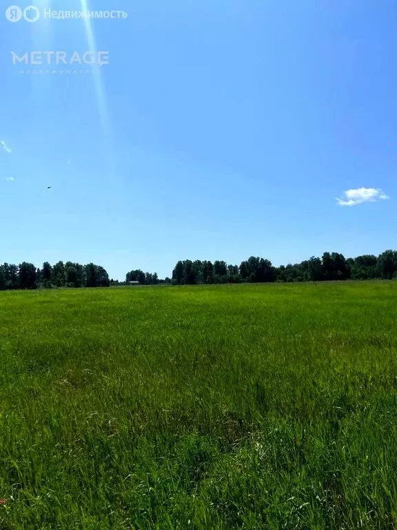 Участок в село Ленинское, СНТ Посёлок Новониколаевский (86 м) - Фото 1