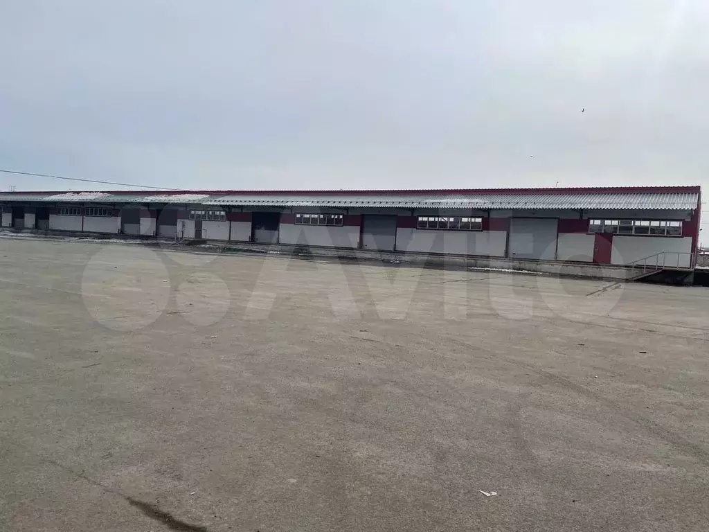 Сдам помещения свободного назначения 4845 м под склад, ТК, ... - Фото 1