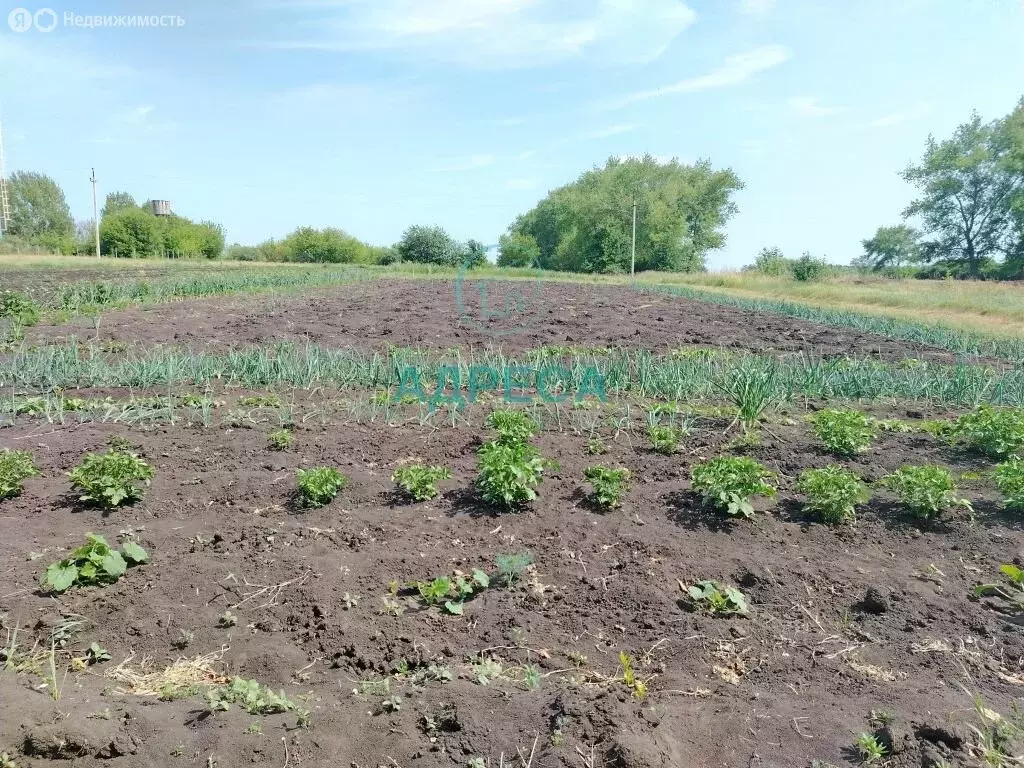 Дом в Белгородская область, Новооскольский муниципальный округ, село ... - Фото 1