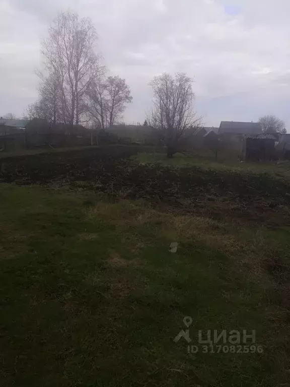 Дом в Новосибирская область, Коченевский район, с. Новокремлевское ул. ... - Фото 1