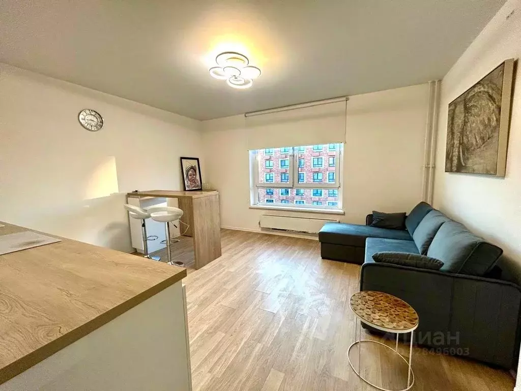 Студия Московская область, Красногорск городской округ, пос. ... - Фото 2