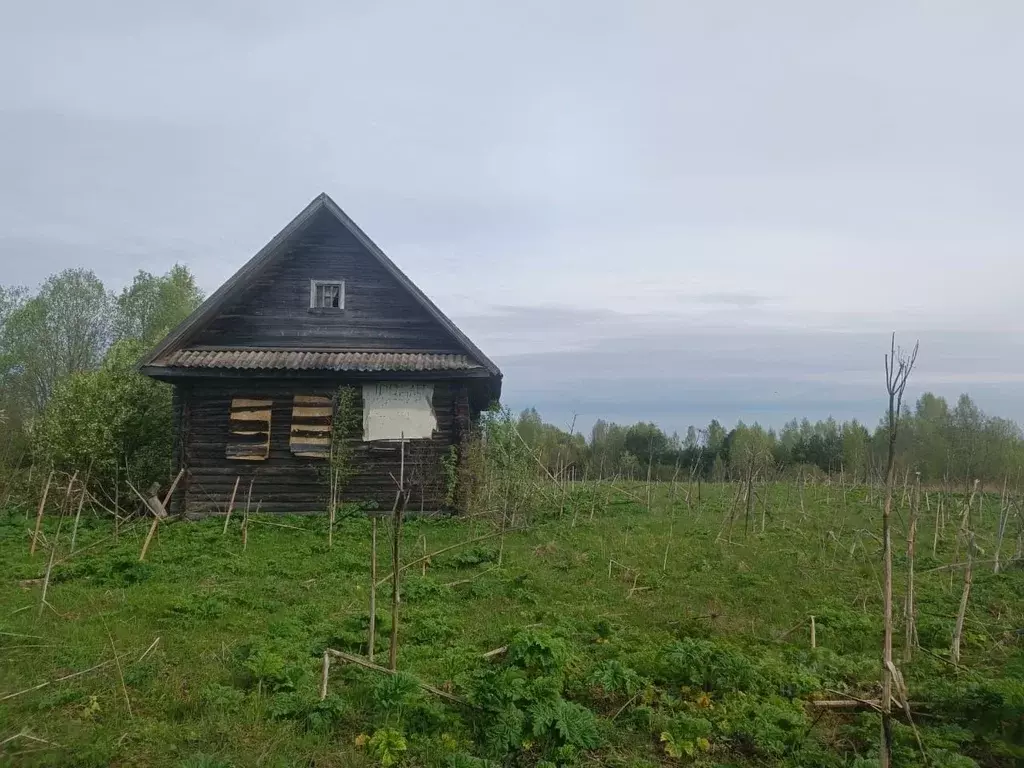 Участок в Новгородская область, Маловишерский район, Бургинское с/пос, ... - Фото 0