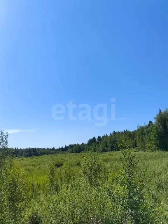 Участок в Московская область, Истра городской округ, Лесная Богемия кп ... - Фото 1