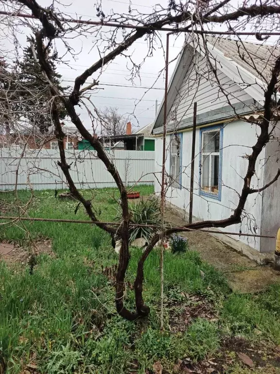 Дом в Краснодарский край, Кореновск Платнировская ул., 103 (42 м) - Фото 2