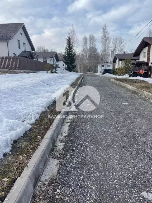 Участок в Новосибирская область, Новосибирский район, Барышевский ... - Фото 1