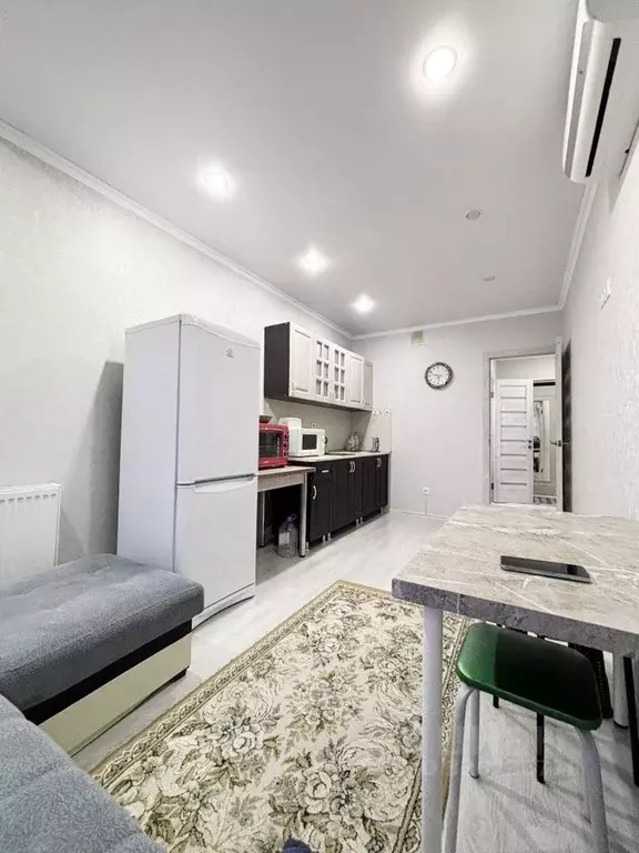 1-к кв. Краснодарский край, Краснодар Имени Демьяна Бедного жилмассив, ... - Фото 2