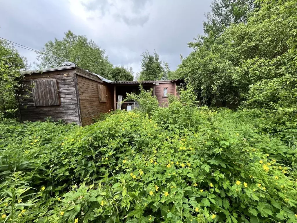 Участок в Санкт-Петербург, Санкт-Петербург, Пушкин СНТ Дони тер., ул. ... - Фото 1