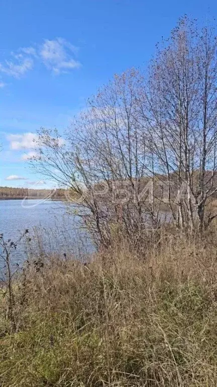 Участок в Свердловская область, Тугулымский муниципальный округ, с. ... - Фото 0