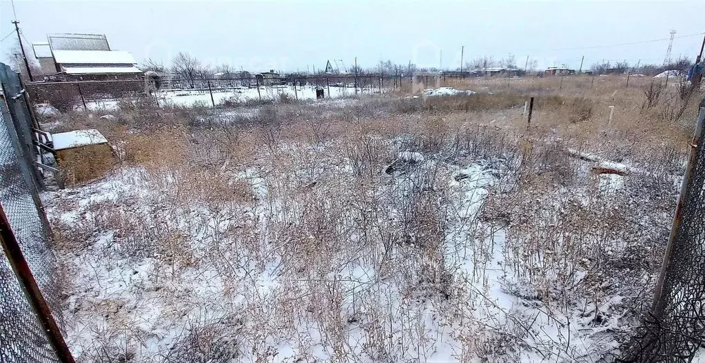 Участок в Волгоградская область, Светлоярский район, ... - Фото 1