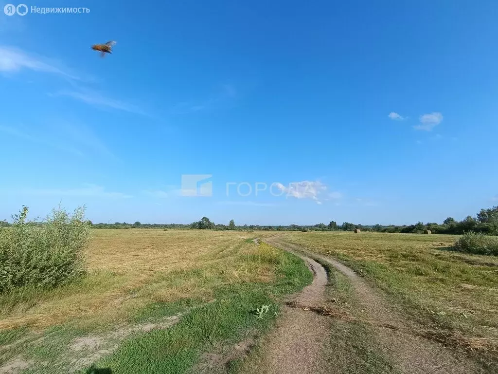 Участок в Колыванский район, село Скала (3745.2 м) - Фото 1