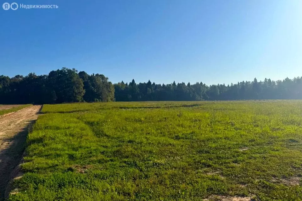 Участок в село Новая Усмань, Октябрьская улица (9 м) - Фото 0