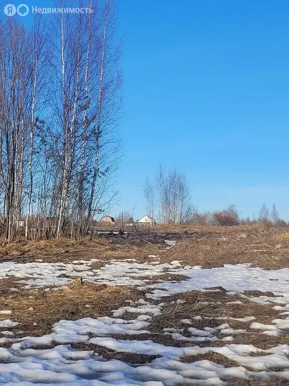 Участок в Низинское сельское поселение (6 м) - Фото 2