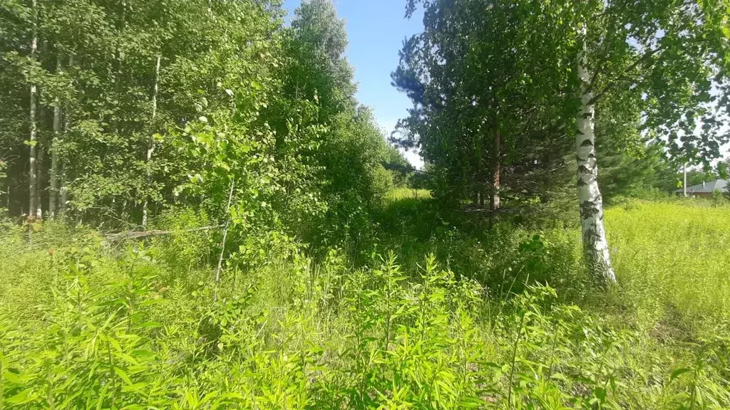 Участок в Удмуртия, Завьяловский район, Воробьевы Горы кп  (41.0 сот.) - Фото 1