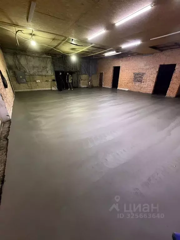 Помещение свободного назначения в Москва Рябиновая ул., 28Б (150 м) - Фото 1