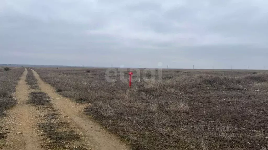 Участок в Крым, Черноморский район, с. Новоивановка  (100.0 сот.) - Фото 1