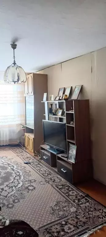 Дом в Красноярский край, Красноярск городской округ, с. Арейское ул. ... - Фото 2