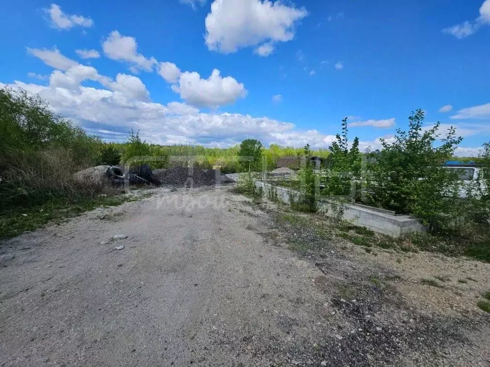 Участок в Амурская область, Благовещенск городской округ, пос. ... - Фото 1