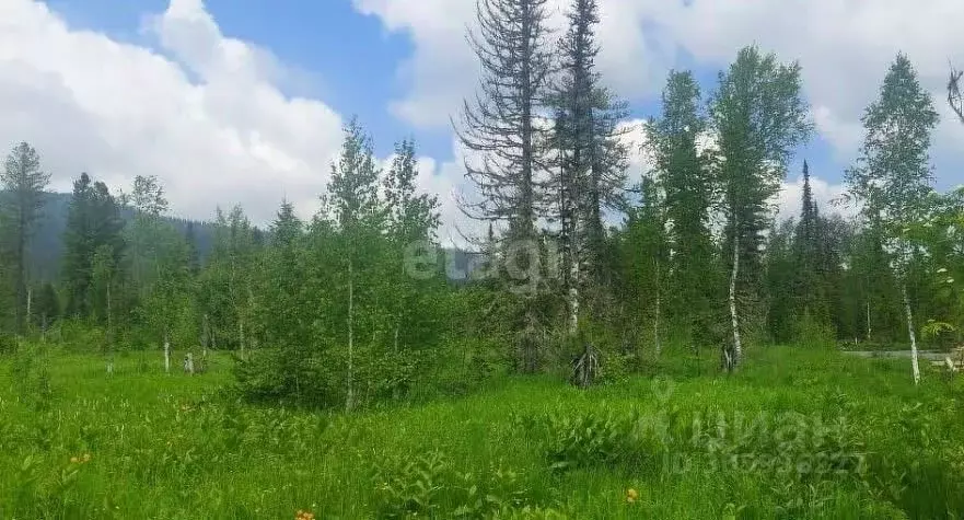 Участок в Кемеровская область, Таштагольский район, Шерегешское ... - Фото 0