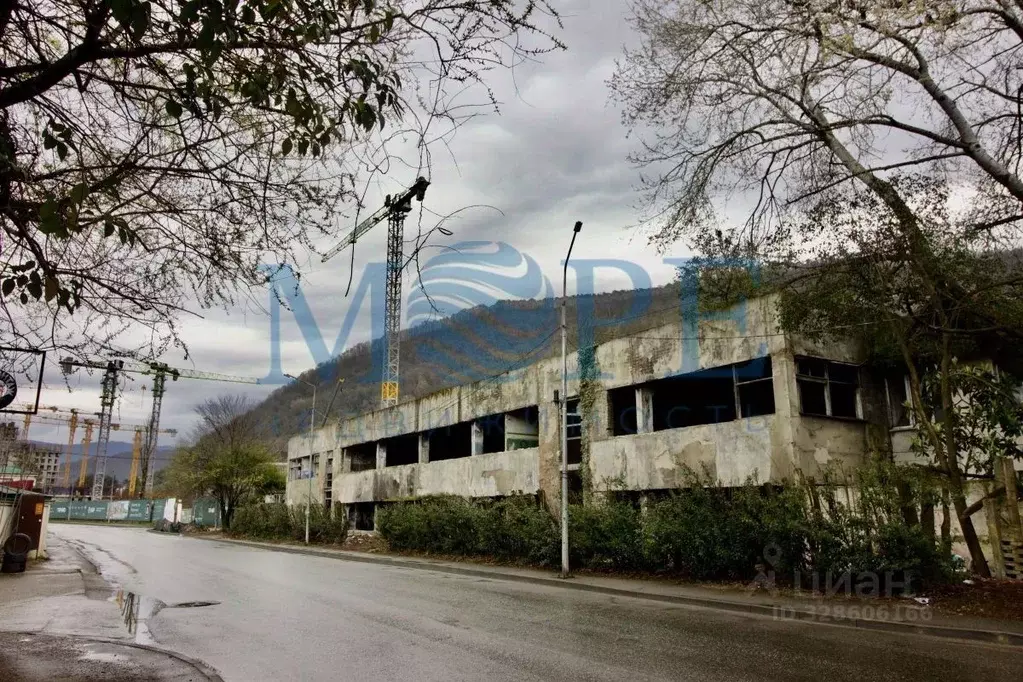 Помещение свободного назначения в Краснодарский край, Сочи ... - Фото 2