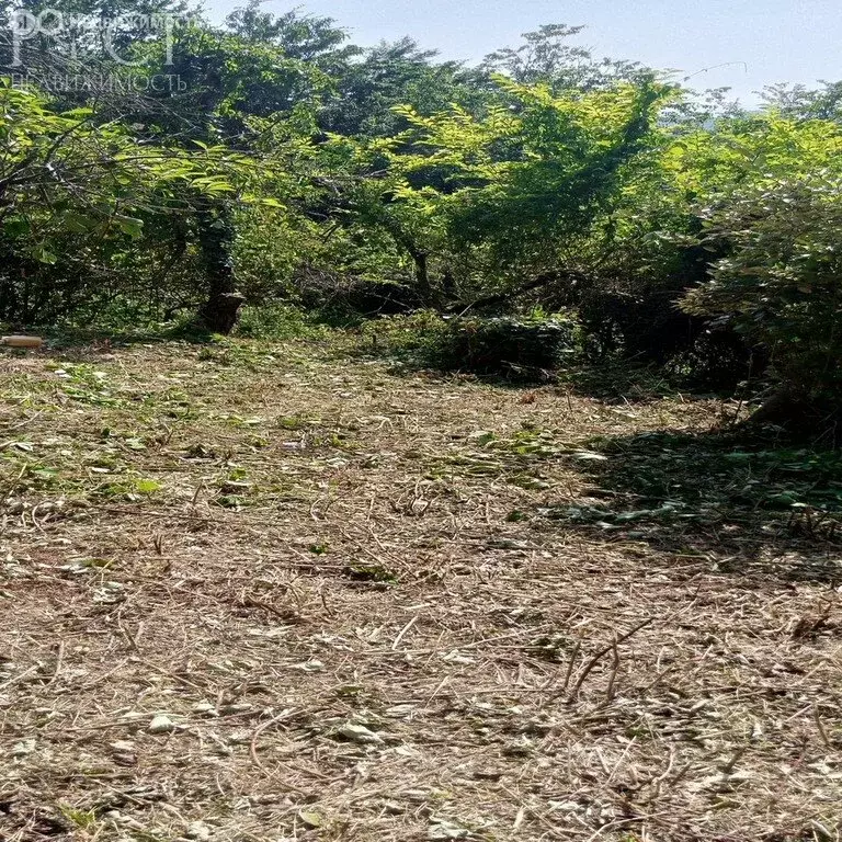 Участок в Краснодарский край, городской округ Сочи, село Богушёвка, ... - Фото 1