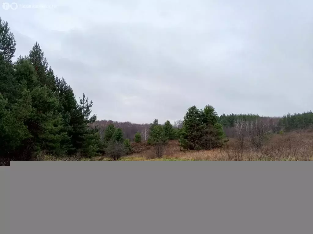 Участок в Нижегородская область, Богородский муниципальный округ, ... - Фото 2