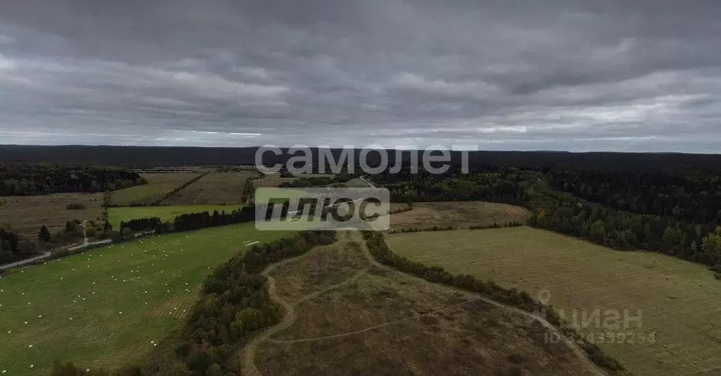 Участок в Карелия, Питкярантский район, Ляскельское с/пос  (2.66 сот.) - Фото 2