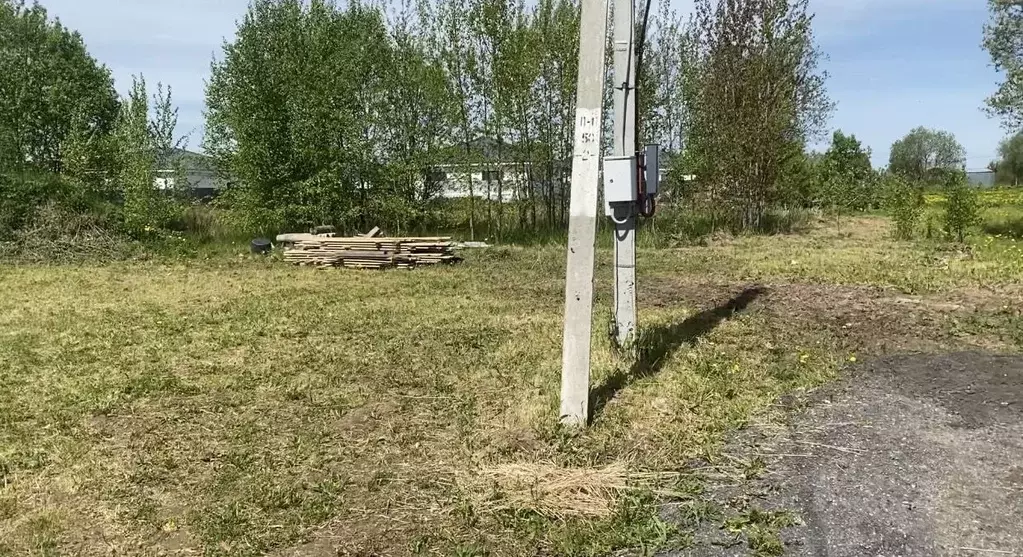 Участок в Псковская область, Псковский район, Логозовская волость, д. ... - Фото 2