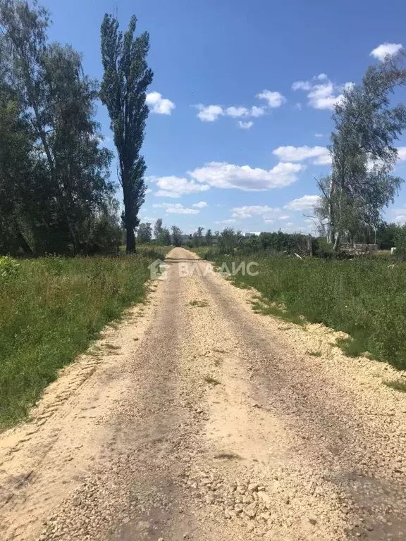 Участок в Воронежская область, Воронеж ул. Совхозная (5.0 сот.) - Фото 1