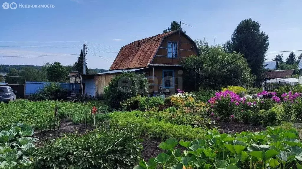 Дом в Новосибирск, СНТ Золотая Горка, аллея Б (60 м) - Фото 0