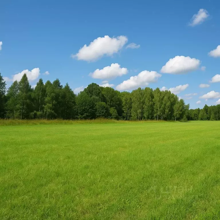 Участок в Тверская область, Лихославльский муниципальный округ  (261.0 ... - Фото 1