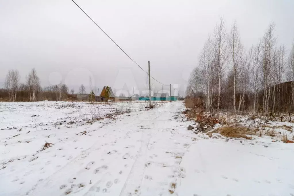 Участок 5 сот. (СНТ, ДНП) - Фото 1