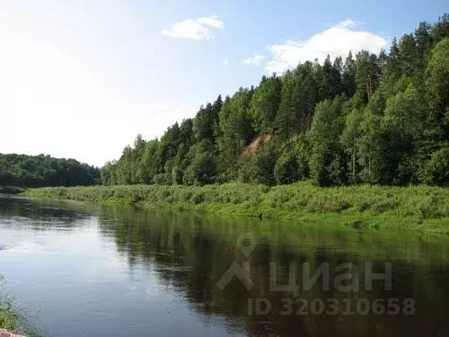 Дом в Новгородская область, Поддорский район, Селеевское с/пос, д. ... - Фото 1