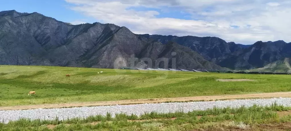Участок в Алтай, Онгудайский район, с. Малый Яломан  (2.62 сот.) - Фото 0