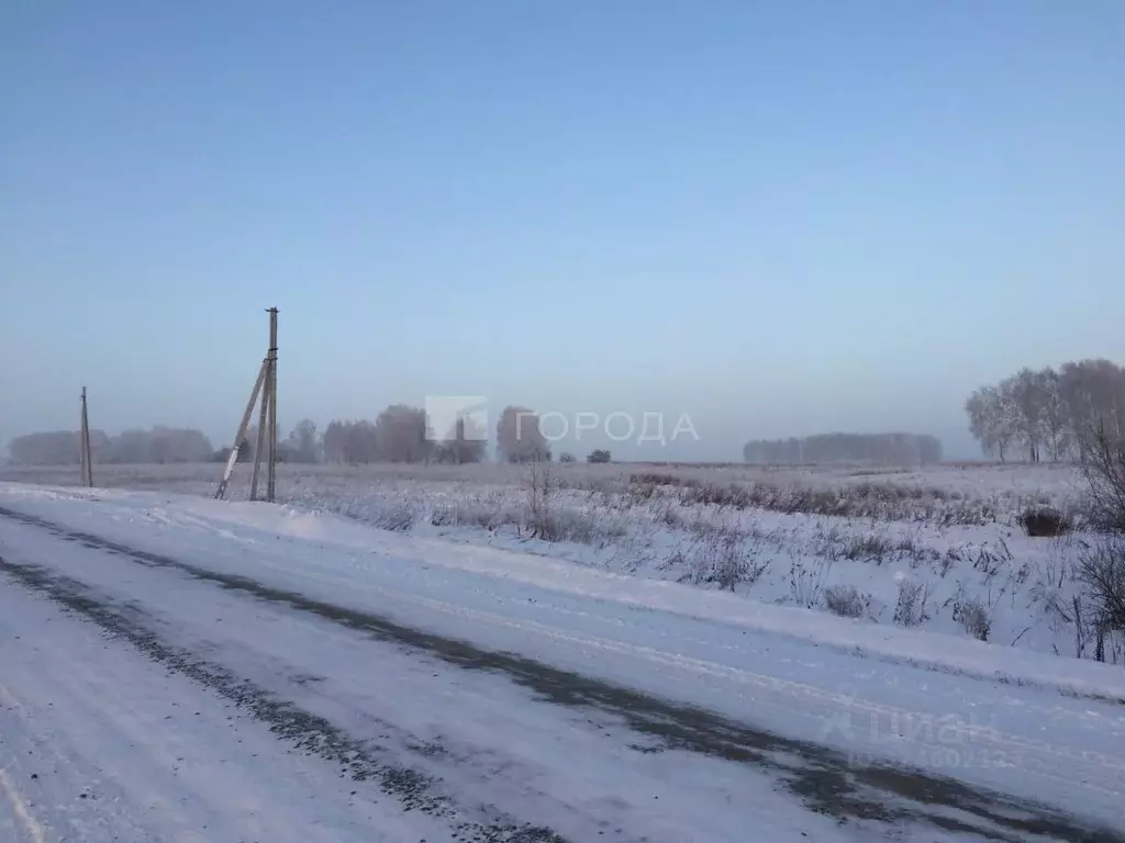 Участок в Новосибирская область, Мошковский район, с. Томилово  (6.0 ... - Фото 1