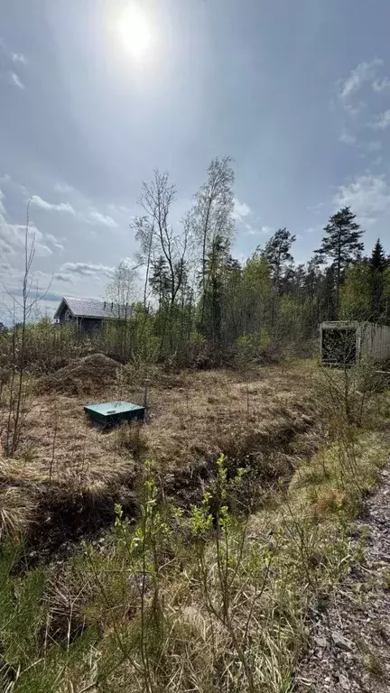 Участок в Ленинградская область, Выборгский район, Полянское с/пос, ... - Фото 1