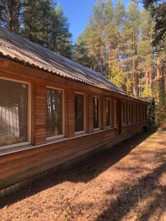 Дом в Свердловская область, Кушва ул. Союзов (82 м) - Фото 1