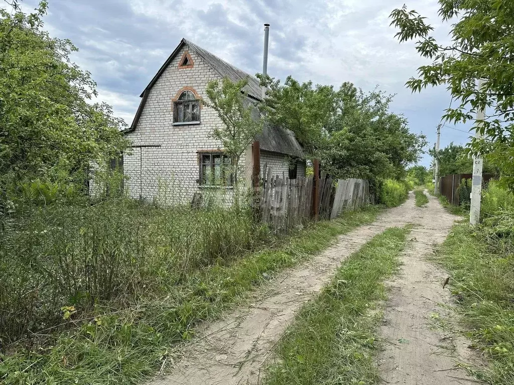 Дом в Брянская область, Брянский район, Снежское с/пос, с. Толмачево ... - Фото 1