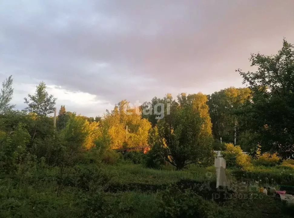 Участок в Новосибирская область, Мошковский район, Смородинка садовое ... - Фото 0