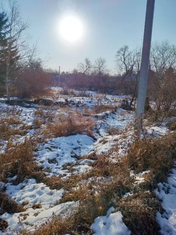 Участок в Приморский край, Надеждинский район, пос. Тавричанка  (11.0 ... - Фото 1
