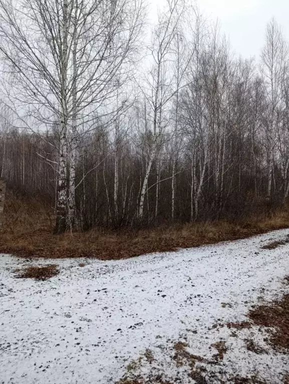 Участок в Челябинская область, Копейск Березка-4 СНТ, 518 (5.89 сот.) - Фото 1