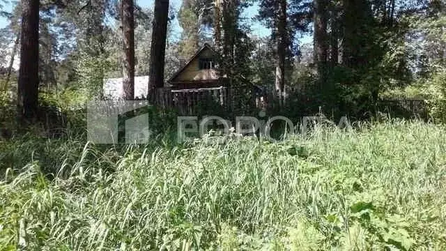 Участок в Кемеровская область, Новокузнецкий муниципальный округ, пос. ... - Фото 0