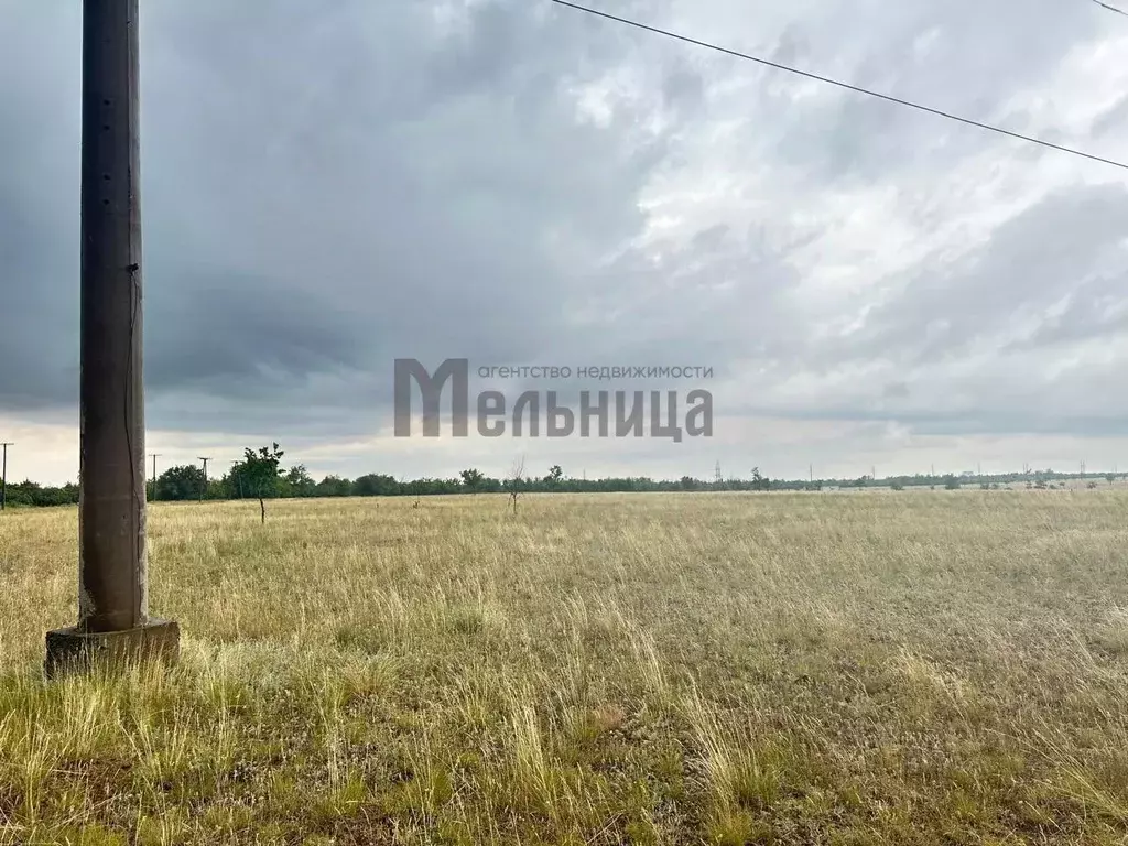 Участок в Волгоградская область, Городищенский район, Царицынское ... - Фото 2