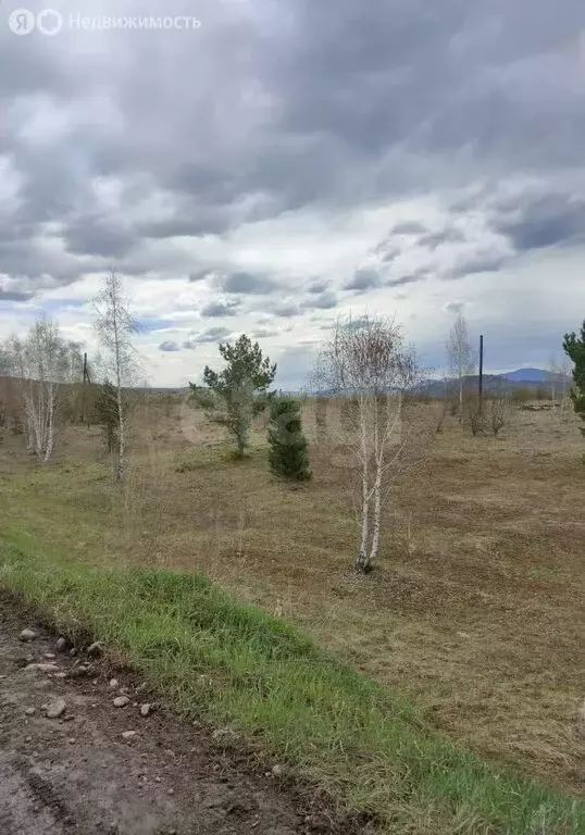 Участок в Майминский район, село Подгорное, Ягодный переулок (10.33 м) - Фото 2