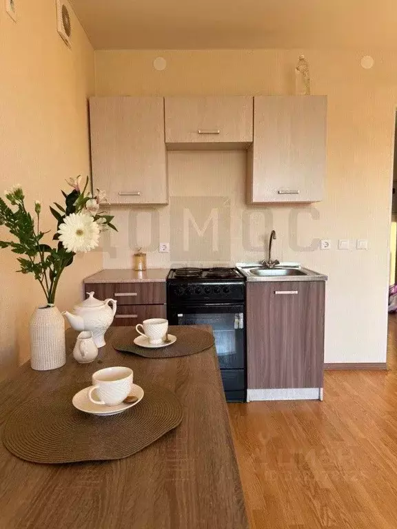 Студия Свердловская область, Березовский пос. Первомайский, 10Бк3 ... - Фото 2