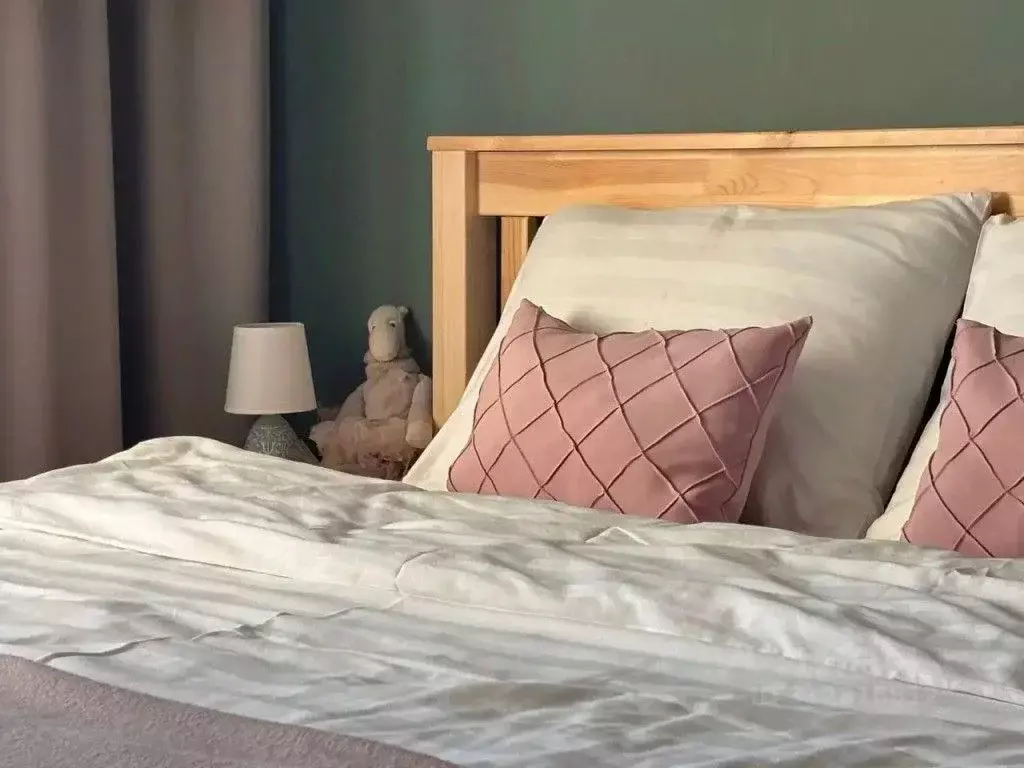 1-к кв. Псковская область, Псков Овсище исторический район, проезд ... - Фото 1