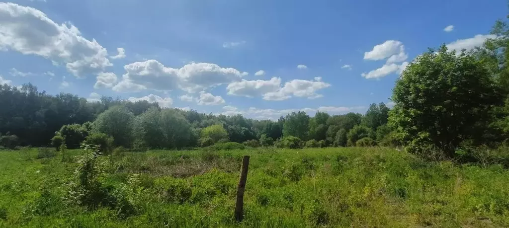 Участок в Калужская область, Малоярославец Карижская ул., 1 (7.85 ... - Фото 0