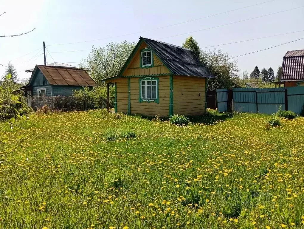 Участок в Владимирская область, Киржач Солнечный СНТ, 128 (4.0 сот.) - Фото 1